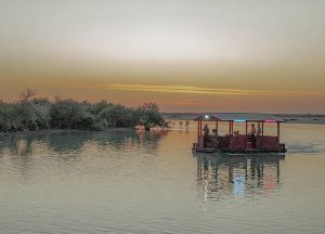 ویلا یک خوابه قوی رامسر
